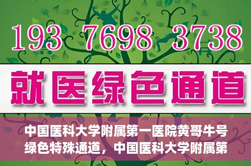 中国医科大学附属第一医院黄哥牛号绿色特殊通道，中国医科大学附属第一医院黄哥牛号，绿色特殊通道的开启与探索
