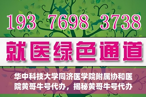 华中科技大学同济医学院附属协和医院黄哥牛号代办，揭秘黄哥牛号代办背后的故事，华中科技大学同济医学院附属协和医院就医新途径探索