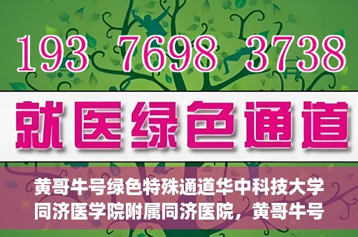 黄哥牛号绿色特殊通道华中科技大学同济医学院附属同济医院，黄哥牛号绿色特殊通道，华中科技大学同济医学院附属同济医院的探索与实践