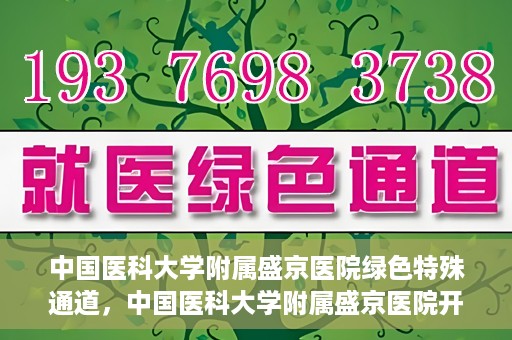 中国医科大学附属盛京医院绿色特殊通道，中国医科大学附属盛京医院开通绿色特殊通道，助力患者快速就医