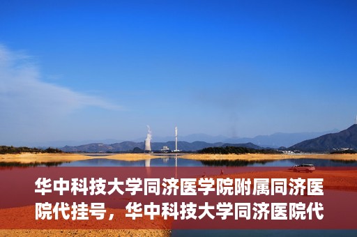 华中科技大学同济医学院附属同济医院代挂号，华中科技大学同济医院代挂号服务解析