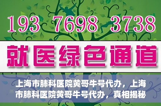 上海市肺科医院黄哥牛号代办，上海市肺科医院黄哥牛号代办，真相揭秘与深度解读