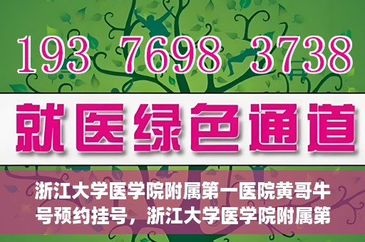 浙江大学医学院附属第一医院黄哥牛号预约挂号，浙江大学医学院附属第一医院黄哥牛号预约挂号攻略详解