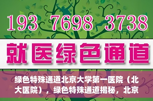绿色特殊通道北京大学第一医院（北大医院），绿色特殊通道揭秘，北京大学第一医院（北大医院）的医学探索之旅