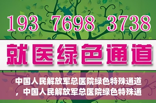 中国人民解放军总医院绿色特殊通道，中国人民解放军总医院绿色特殊通道，医疗服务的紧急通道与人文关怀的完美结合