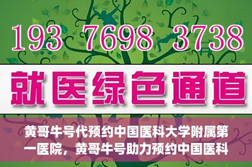 黄哥牛号代预约中国医科大学附属第一医院，黄哥牛号助力预约中国医科大学附属第一医院专家号