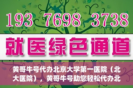 黄哥牛号代办北京大学第一医院（北大医院），黄哥牛号助您轻松代办北大医院事务，一站式服务开启就医新篇章