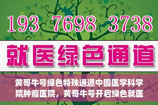 黄哥牛号绿色特殊通道中国医学科学院肿瘤医院，黄哥牛号开启绿色就医通道，中国医学科学院肿瘤医院专注诊疗新篇章