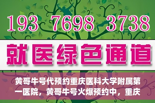黄哥牛号代预约重庆医科大学附属第一医院，黄哥牛号火爆预约中，重庆医科大学附属第一医院开启预约新纪元
