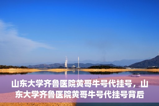 山东大学齐鲁医院黄哥牛号代挂号，山东大学齐鲁医院黄哥牛号代挂号背后的故事与探索