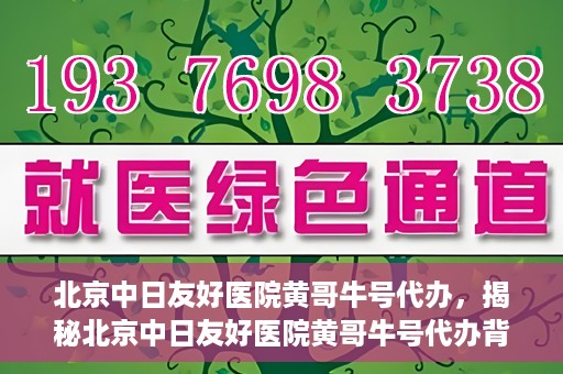 北京中日友好医院黄哥牛号代办，揭秘北京中日友好医院黄哥牛号代办背后的故事
