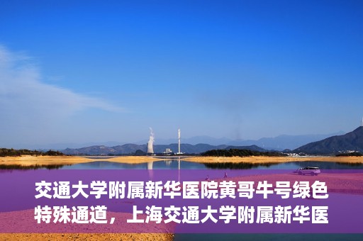 交通大学附属新华医院黄哥牛号绿色特殊通道，上海交通大学附属新华医院黄哥牛号绿色就医特殊通道解析