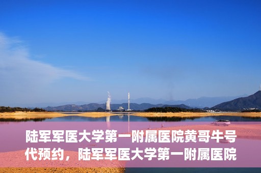 陆军军医大学第一附属医院黄哥牛号代预约，陆军军医大学第一附属医院预约系统升级，黄哥牛号预约服务上线