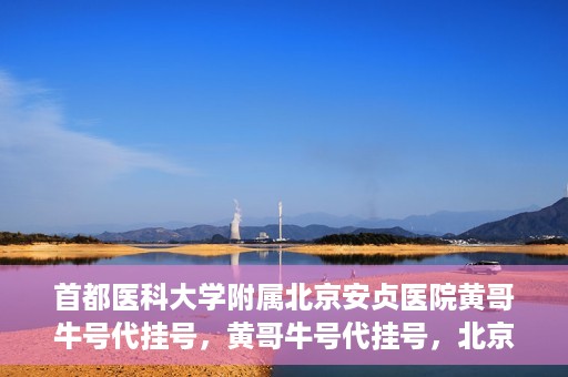 首都医科大学附属北京安贞医院黄哥牛号代挂号，黄哥牛号代挂号，北京安贞医院挂号新途径探索