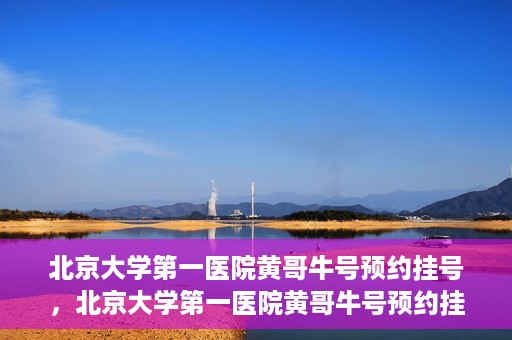 北京大学第一医院黄哥牛号预约挂号，北京大学第一医院黄哥牛号预约挂号攻略，轻松挂号，无忧就医体验