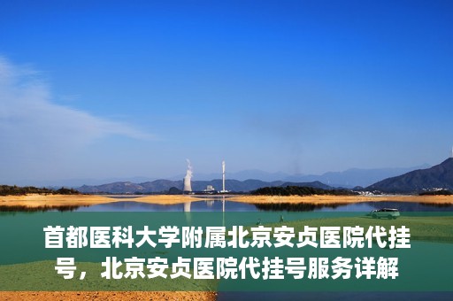 首都医科大学附属北京安贞医院代挂号，北京安贞医院代挂号服务详解