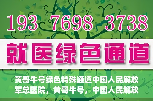 黄哥牛号绿色特殊通道中国人民解放军总医院，黄哥牛号，中国人民解放军总医院开启绿色特殊通道助力健康中国