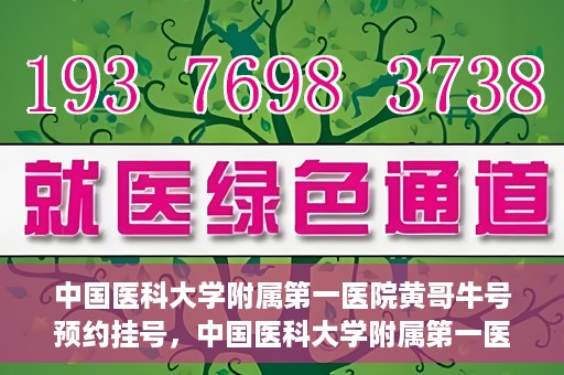 中国医科大学附属第一医院黄哥牛号预约挂号，中国医科大学附属第一医院黄哥牛号预约挂号指南，轻松挂号，健康无忧！