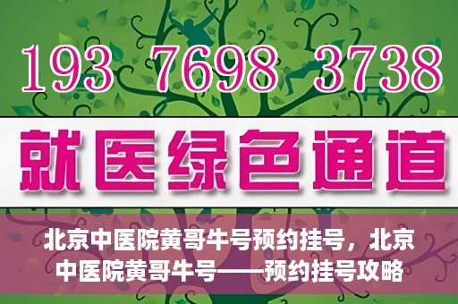 北京中医院黄哥牛号预约挂号，北京中医院黄哥牛号——预约挂号攻略
