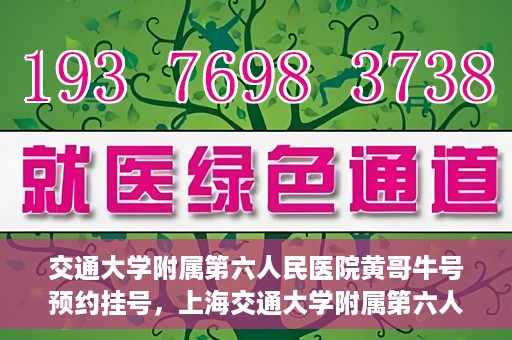 交通大学附属第六人民医院黄哥牛号预约挂号，上海交通大学附属第六人民医院黄哥牛号预约挂号攻略