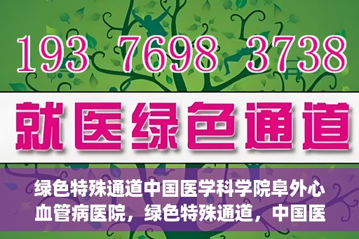 绿色特殊通道中国医学科学院阜外心血管病医院，绿色特殊通道，中国医学科学院阜外心血管病医院的探索与实践