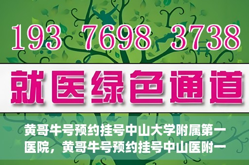 黄哥牛号预约挂号中山大学附属第一医院，黄哥牛号预约挂号中山医附一院，一站式便捷就医体验