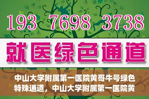 中山大学附属第一医院黄哥牛号绿色特殊通道，中山大学附属第一医院黄哥牛号，绿色特殊通道开启健康之门