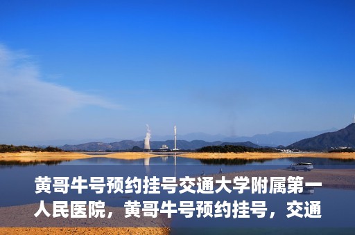 黄哥牛号预约挂号交通大学附属第一人民医院，黄哥牛号预约挂号，交通大学附属第一人民医院就医新体验