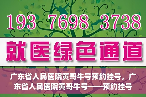 广东省人民医院黄哥牛号预约挂号，广东省人民医院黄哥牛号——预约挂号攻略