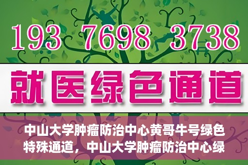 中山大学肿瘤防治中心黄哥牛号绿色特殊通道，中山大学肿瘤防治中心绿色特殊通道——黄哥牛号的守护力量