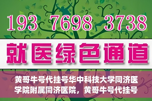 黄哥牛号代挂号华中科技大学同济医学院附属同济医院，黄哥牛号代挂号背后的同济医院就医故事