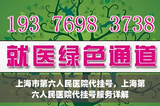 上海市第六人民医院代挂号，上海第六人民医院代挂号服务详解