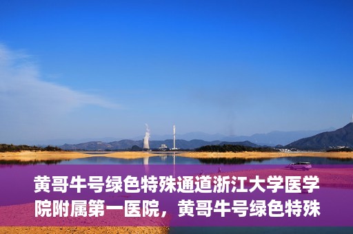 黄哥牛号绿色特殊通道浙江大学医学院附属第一医院，黄哥牛号绿色特殊通道，浙江大学医学院附属第一医院的探索与实践