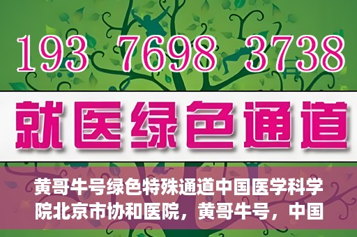 黄哥牛号绿色特殊通道中国医学科学院北京市协和医院，黄哥牛号，中国医学科学院北京市协和医院开启绿色特殊通道助力健康前行