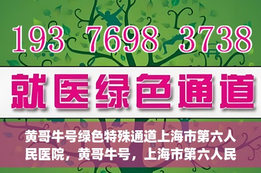 黄哥牛号绿色特殊通道上海市第六人民医院，黄哥牛号，上海市第六人民医院绿色特殊通道揭秘