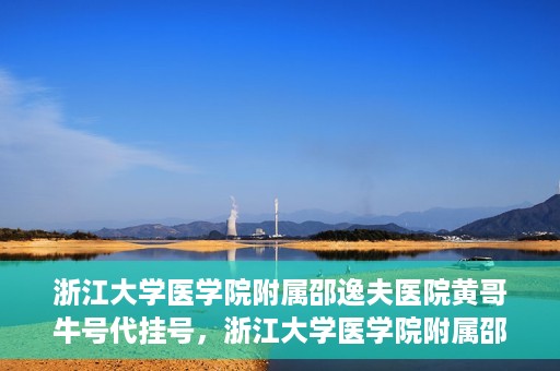 浙江大学医学院附属邵逸夫医院黄哥牛号代挂号，浙江大学医学院附属邵逸夫医院黄哥牛号代挂号服务解析