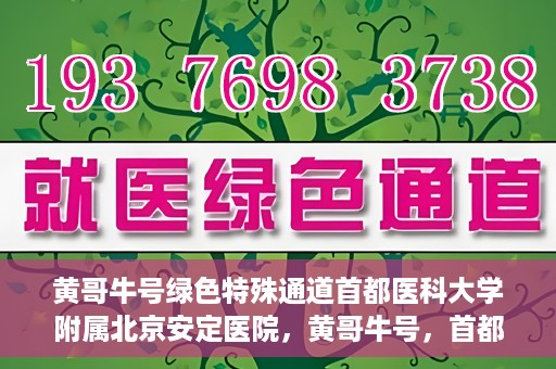 黄哥牛号绿色特殊通道首都医科大学附属北京安定医院，黄哥牛号，首都医科大学附属北京安定医院的绿色特殊通道揭秘