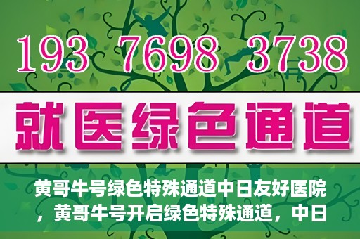 黄哥牛号绿色特殊通道中日友好医院，黄哥牛号开启绿色特殊通道，中日友好医院展现友好服务新篇章