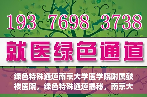 绿色特殊通道南京大学医学院附属鼓楼医院，绿色特殊通道揭秘，南京大学医学院附属鼓楼医院的探索与实践