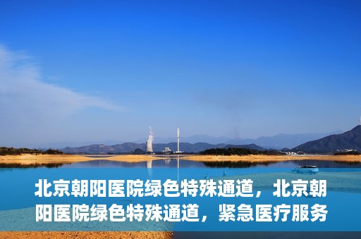 北京朝阳医院绿色特殊通道，北京朝阳医院绿色特殊通道，紧急医疗服务的速度与温情