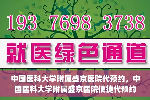 中国医科大学附属盛京医院代预约，中国医科大学附属盛京医院便捷代预约服务解析