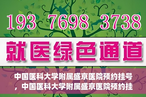 中国医科大学附属盛京医院预约挂号，中国医科大学附属盛京医院预约挂号指南，一站式解决您的挂号难题