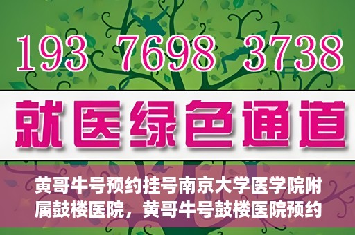 黄哥牛号预约挂号南京大学医学院附属鼓楼医院，黄哥牛号鼓楼医院预约挂号启动，便捷就医新体验