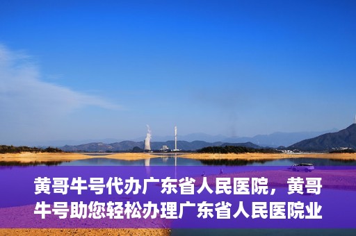 黄哥牛号代办广东省人民医院，黄哥牛号助您轻松办理广东省人民医院业务手续