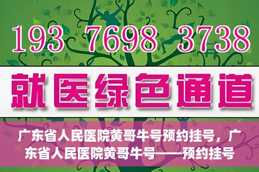 广东省人民医院黄哥牛号预约挂号，广东省人民医院黄哥牛号——预约挂号攻略