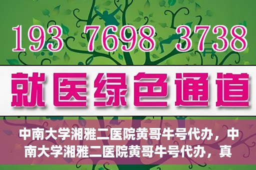 中南大学湘雅二医院黄哥牛号代办，中南大学湘雅二医院黄哥牛号代办，真相揭秘与深度解读