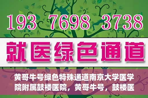 黄哥牛号绿色特殊通道南京大学医学院附属鼓楼医院，黄哥牛号，鼓楼医院开启绿色特殊通道助力健康之路