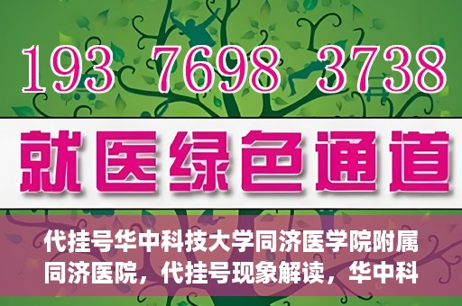 代挂号华中科技大学同济医学院附属同济医院，代挂号现象解读，华中科技大学同济医学院附属同济医院的医疗管理与挑战