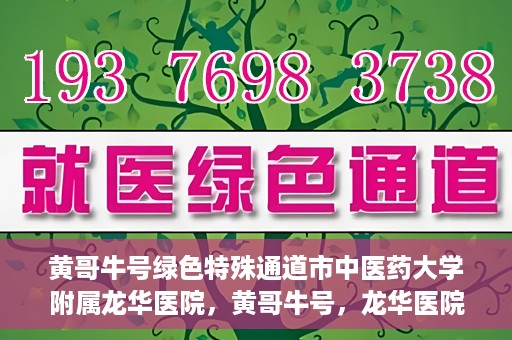 黄哥牛号绿色特殊通道市中医药大学附属龙华医院，黄哥牛号，龙华医院开启绿色特殊通道，倡导中医药文化传承