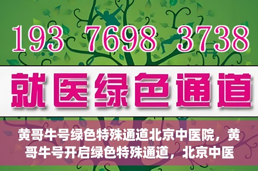黄哥牛号绿色特殊通道北京中医院，黄哥牛号开启绿色特殊通道，北京中医院助力健康中国行